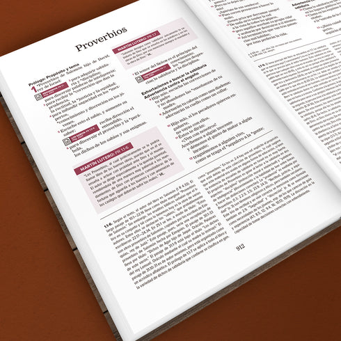 Biblia Nueva Reforma - Tapa Dura